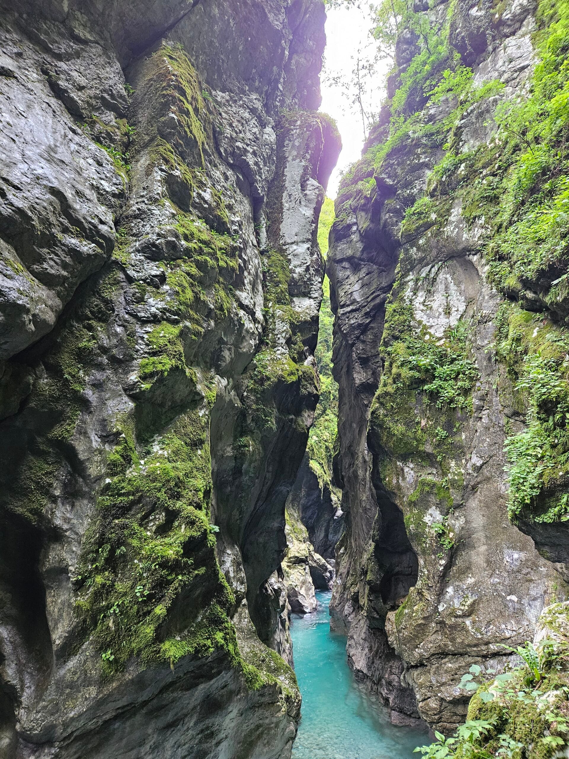 Bikepacking Rental Slovenia, Soča river