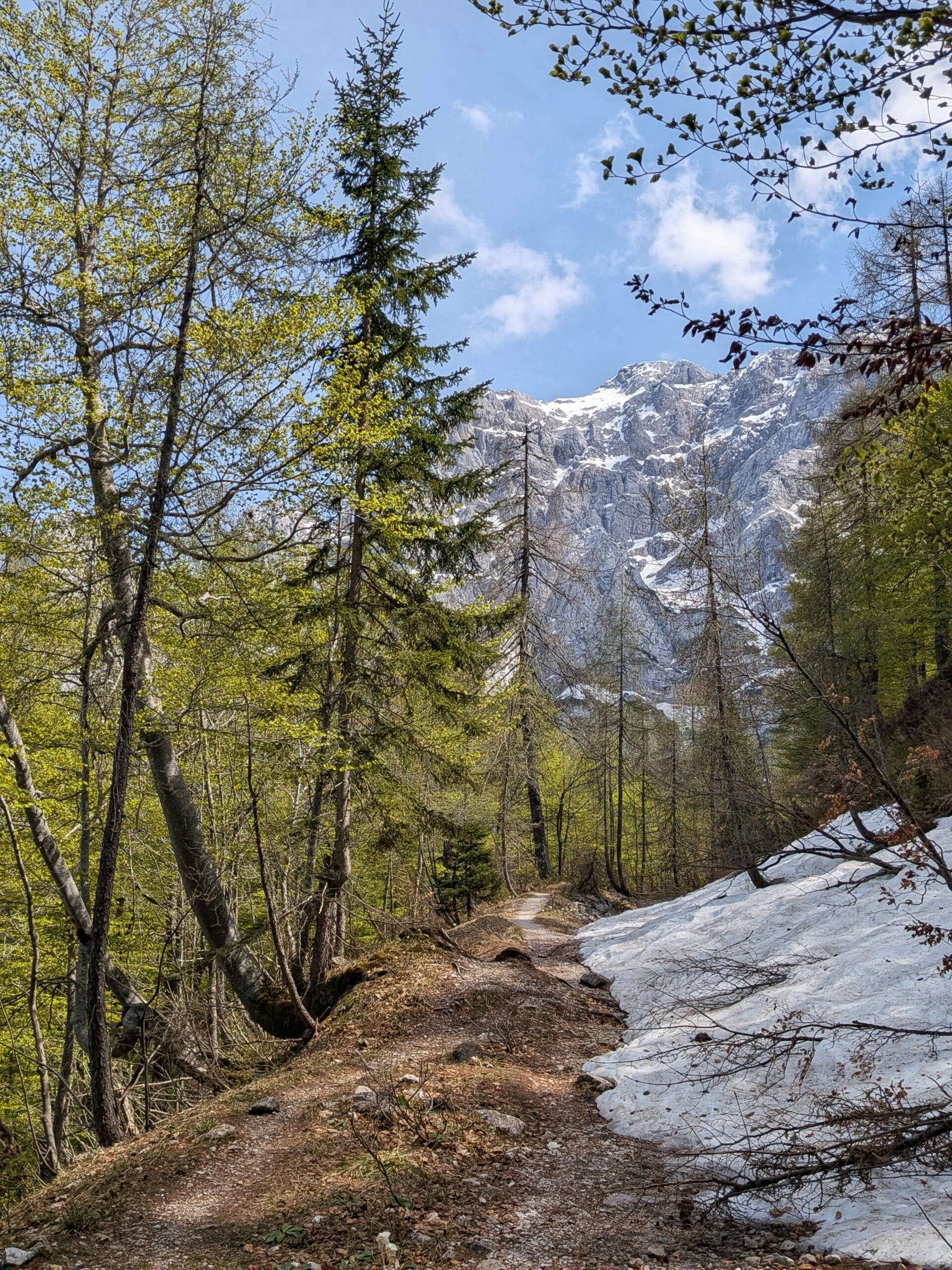 Bikepacking Rental Slovenia, Vršič Pass climb partially snow covered