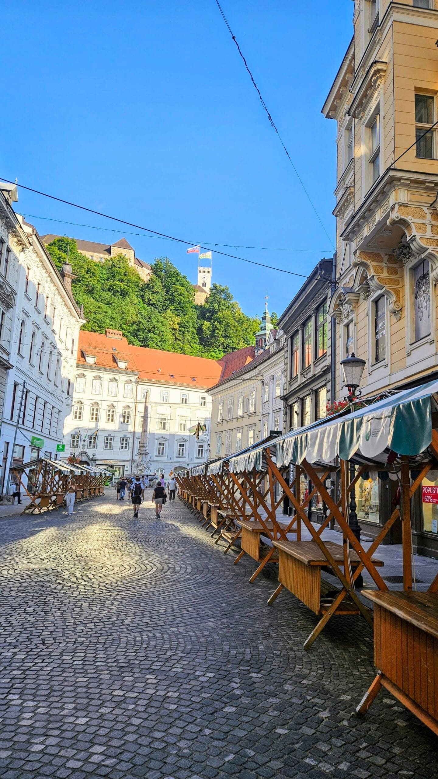 Bikepacking Rental Slovenia, Ljubljana food market